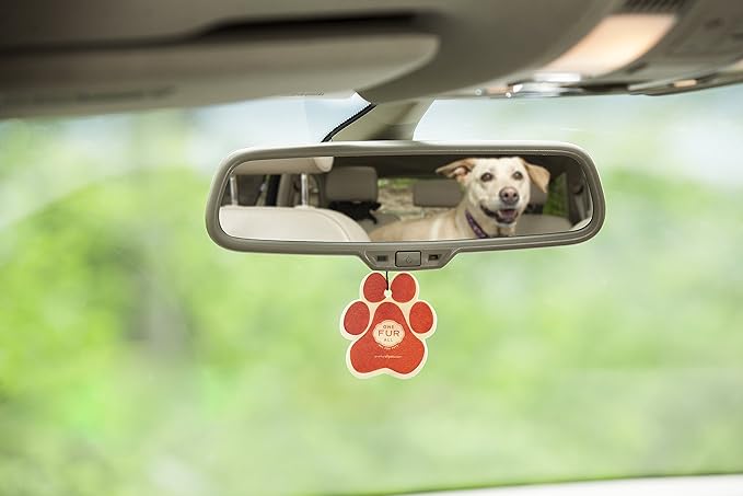 One Fur All Pet House & Car Air Freshener - Mango Peach, Pack of 4 - Non-Toxic, Pet-Friendly, Hanging Odor Eliminator