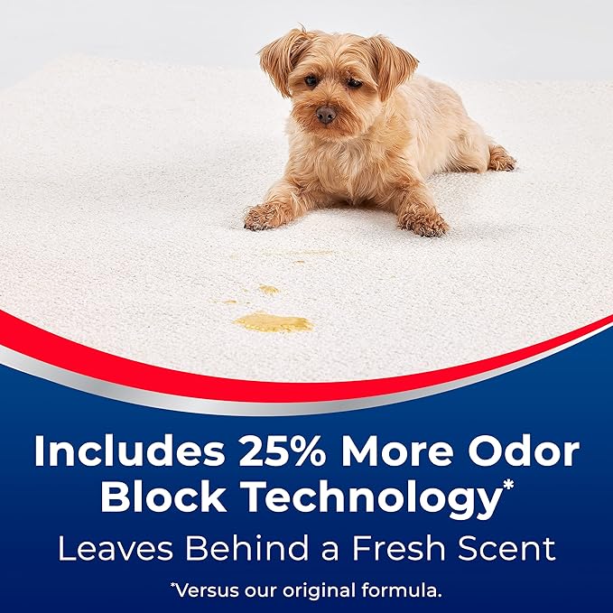 Woolite® Advantage INSTAclean™ Pet Stain Remover - 2 Pack, 3322