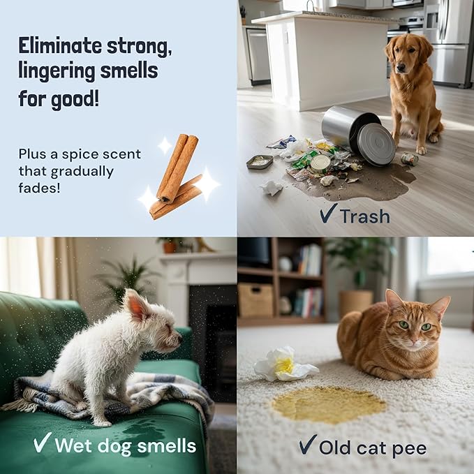 Sunny & Honey Pet Stain and Odor Remover - Enzyme Cleaner for Dog Urine and Poop on Carpets and Furniture - Strong Pet Carpet Cleaner Spray (32fl oz Fall Spice)