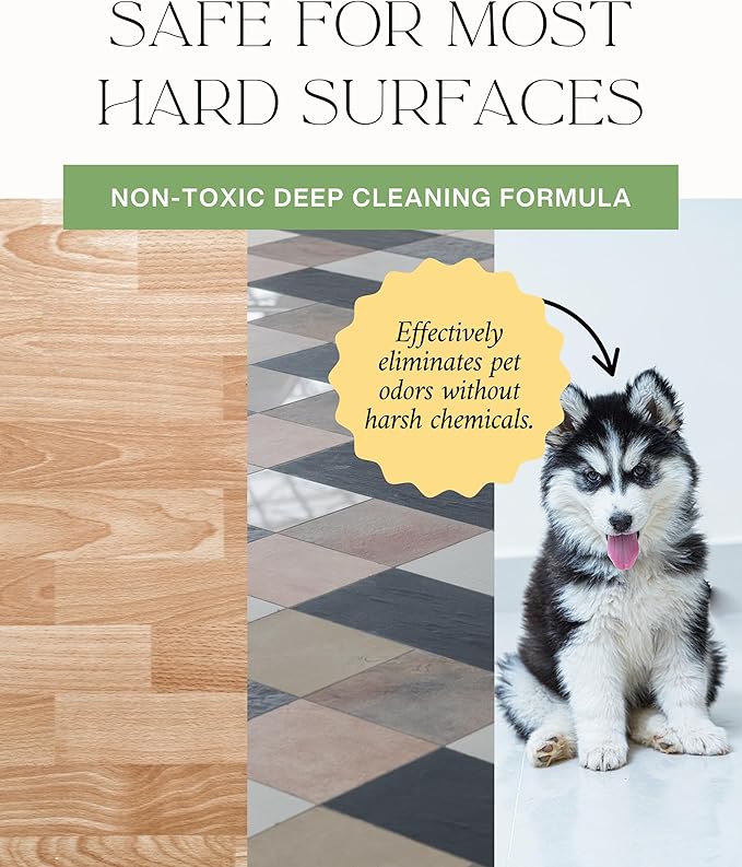 Home “DREAM HOME” Natural Mop Soap – Grapefruit & Lemon Scent, Spring Cleaning – Plant-Powered Floor Cleaner Concentrate – Compatible w/CrossWave & HydroVac Wet Dry Vacuums – 32 oz