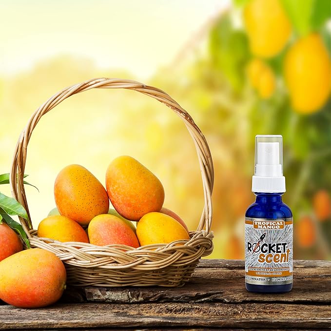 Rocket Scent - Oil Air Fresheners + Odor & Smoke Eliminator + Home, Car, Office, Bathroom Deodorizer (Adventurous Scents)
