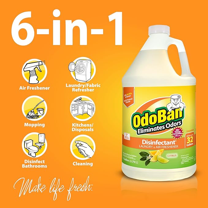 OdoBan Aroma Eliminator Set, Made in the USA, 10 Ounce 360-Degree Continuous Spray Natural Oil Real Citrus Air Freshener and 1 Gallon Multipurpose Disinfectant Cleaning Concentrate, Orange Scent