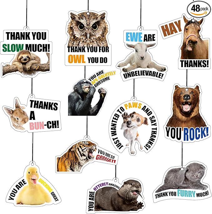 48 Pcs Employee Appreciation Gift Bulk Funny Air Freshener Car Scented Thank You Hanging Decor Inspirational Team Thank You Gift for Volunteer Staffs Coworkers Nurse