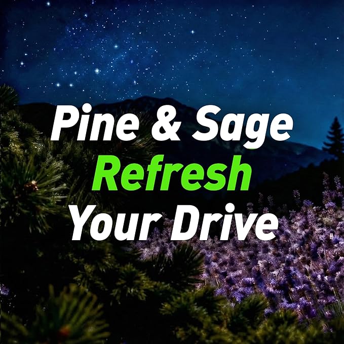 4 Packs Pine&Sage Scented Natural Wood Vent Clips,【No More Stuffy Air】 Odor Eliminator Car Scents Air Freshener Refills, Long Lasting Fragrance Diffuser, SUV Essentials Gift for Men