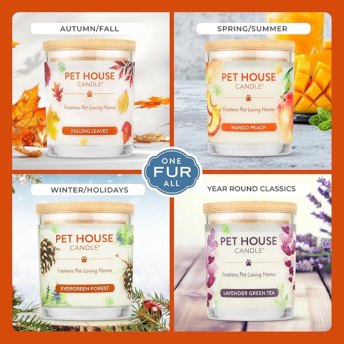 Pet House Pet Odor Candle Plant Based Scented Candle Clean Burning, Long Lasting for Home, Evergreen Forest