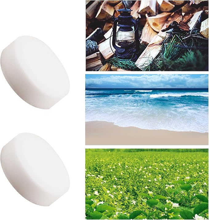 10 Pcs Car Air Fresheners Refills Solid Fragrance Replacement Pads Car Air Vent Clip Freshener Long Lasting Air Freshener for Car (Ocean Flavor)