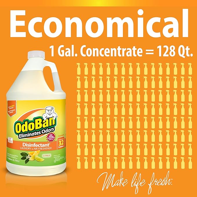 OdoBan Aroma Eliminator Set, Made in the USA, 10 Ounce 360-Degree Continuous Spray Natural Oil Real Citrus Air Freshener and 1 Gallon Multipurpose Disinfectant Cleaning Concentrate, Orange Scent