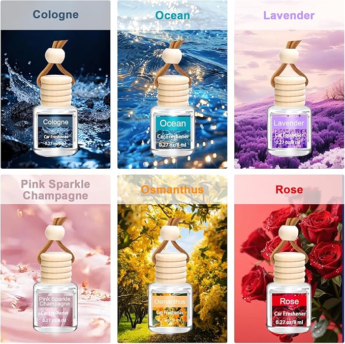 6 Pack Air Freshener Diffuser, Hanging Air Fragrance Essential Oil Diffuser, Car Scents Accessories Cute Car Interior Decor,Car Air Fresheners for Women & Men Gift Cologne Aromatherapy Oil