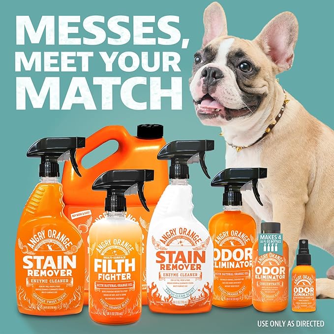 ANGRY ORANGE Spray and Go Floor Cleaner - Citrus Mint - 32 oz - Value 2 Pack