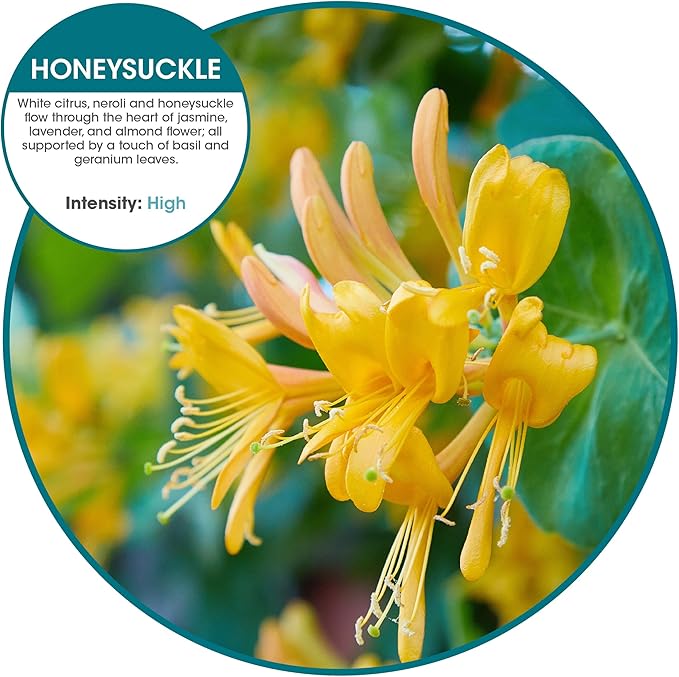 Fresh Products Eco Bowl Clip 2.0 Toilet Bowl Air Freshener, Honeysuckle Scent, 6 Clips