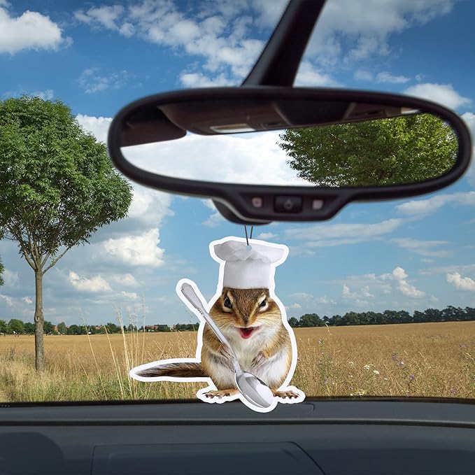 5 Pieces Funny Car Air Fresheners for Men Air Freshener Hanging Truck Air Fresheners Car Accessories Ideal Gift for Birthday, Christmas Stocking Stuffers (Squirrel)
