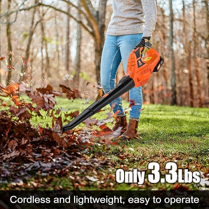 21V Leaf Blower Cordless | Handheld Electric Lightweight Blower with 2.0Ah Rechargeable Battery & Fast Charger | Adjustable Speeds, Portable Design for Lawn, Patio, Yard, Sidewalk Cleaning