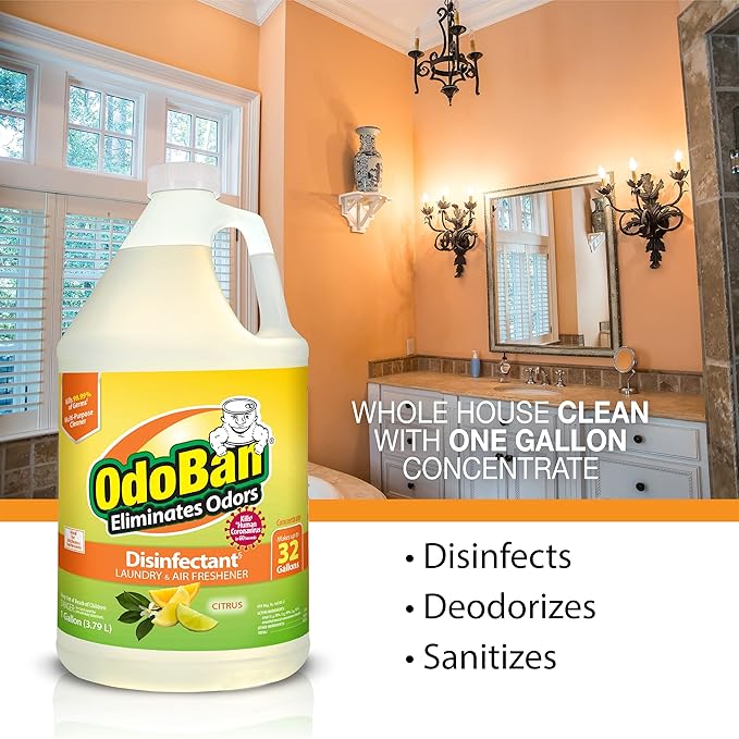 OdoBan Aroma Eliminator Set, Made in the USA, 10 Ounce 360-Degree Continuous Spray Natural Oil Real Citrus Air Freshener and 1 Gallon Multipurpose Disinfectant Cleaning Concentrate, Orange Scent