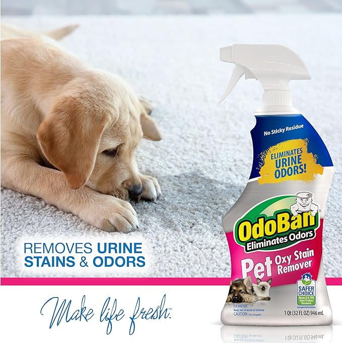 OdoBan Pet Solutions Oxy Stain Remover, Pet Stain Eliminator, Made in the USA, 10-Pack, 32 Ounce Spray Each