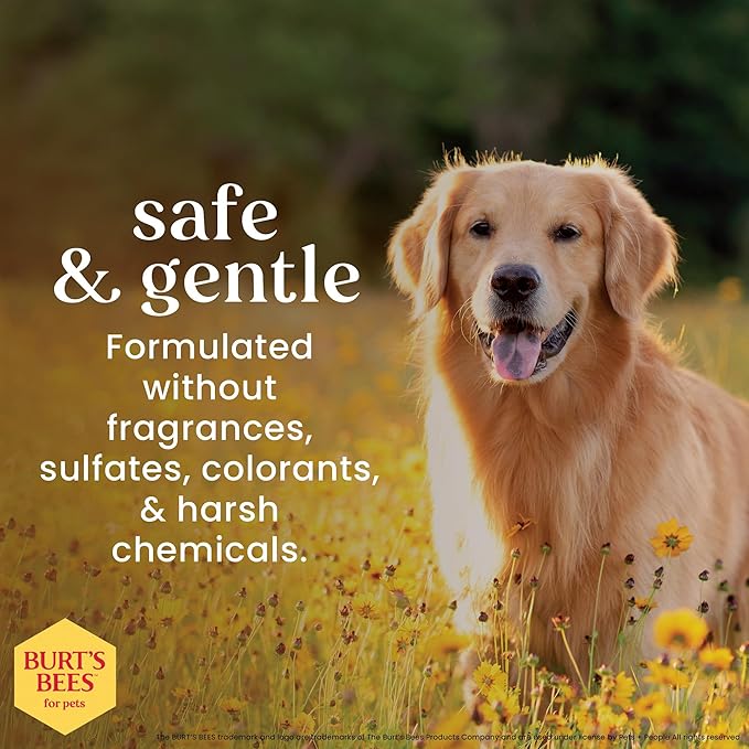Burt's Bees for Pets Tear Stain Remover for Dogs with Chamomile, 99.9% Natural Origin Formula, Gently Cleanses Eye Area and Removes Debris, Safe for Dogs and Puppies, Cruelty-Free, 4 Fl Oz - 24 Pack