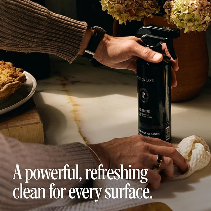 Preston Lane Luxury All-Purpose Cleaner, Terrace View Scent – Bio-Based Multi-Surface Spray | Streak-Free Finish, Lifts Dirt, Smudges & Grease | Vegan & Cruelty-Free