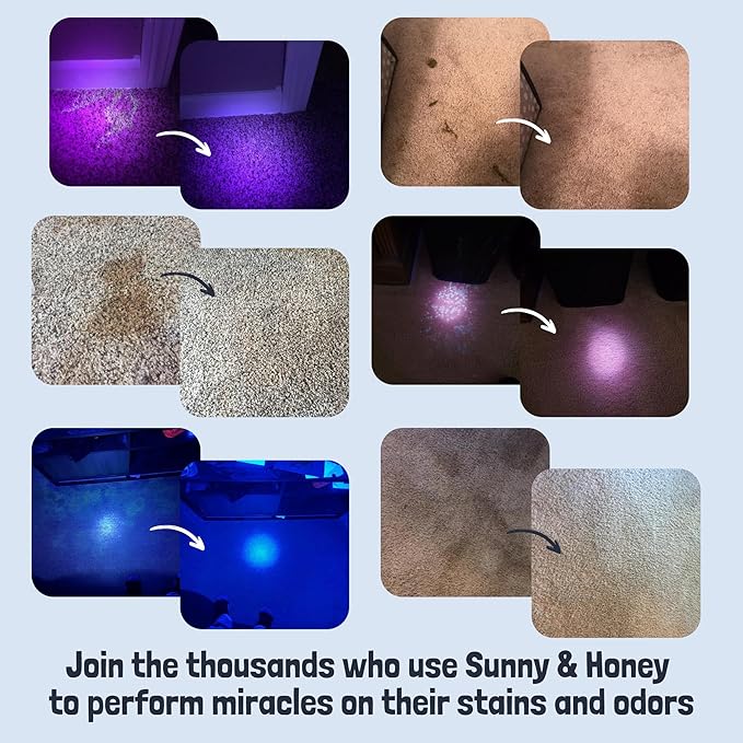 Sunny & Honey Pet Stain and Odor Remover - Enzyme Cleaner for Dog Urine and Poop on Carpets and Furniture - Strong Pet Carpet Cleaner Spray (32fl oz Fall Spice)