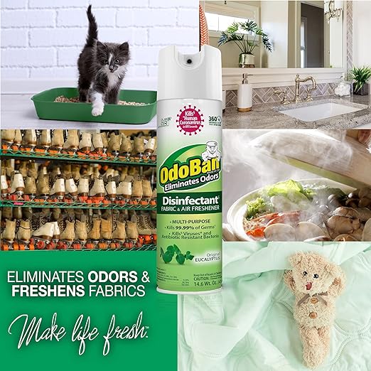 OdoBan Ready-to-Use Disinfectant and Odor Eliminator, Set of 2, 14.6 Ounce 360-Degree Continuous Spray Air Freshener and 1 Gallon Multi-Purpose Cleaning Concentrate, Original Eucalyptus Scent