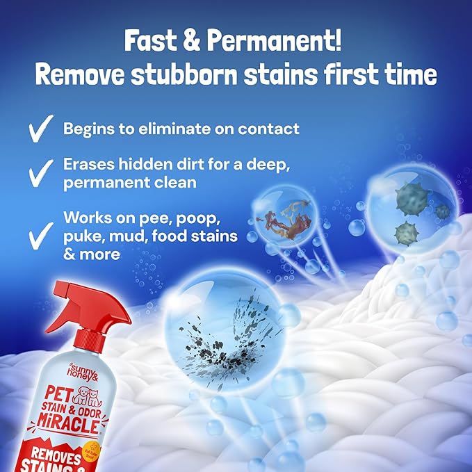 Sunny & Honey Pet Stain and Odor Remover - Enzyme Cleaner for Dog Urine and Poop on Carpets and Furniture - Strong Pet Carpet Cleaner Spray (32fl oz Fall Spice)
