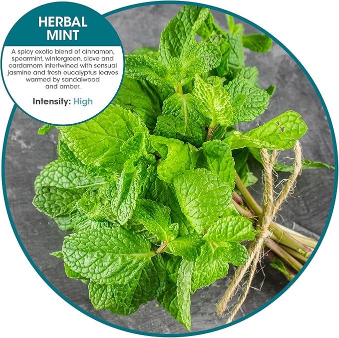 Fresh Products Eco Bowl Clip 2.0 Toilet Bowl Air Freshener, Herbal Mint Scent, 4 Clips