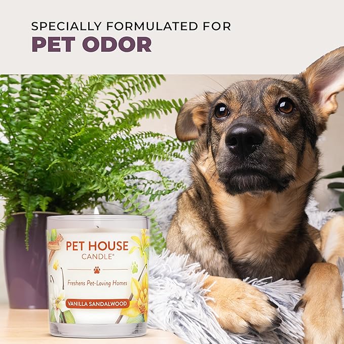 One Fur All Pet House Candle 2 Pack - Plant-Based/Soy - Clean Burning Scented, Long Lasting Pet Odor Candle for Home - Fresh Citrus, Lavender Green Tea