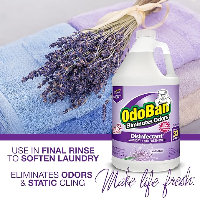 OdoBan Ready-to-Use Disinfectant and Odor Eliminator, Made in the USA, Lavender Scent, Set of 2, 32 oz Spray and 1 Gallon Concentrate