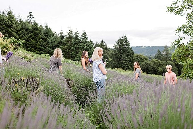 Victoria's Lavender Room Fragrance Spray - Natural Air Freshener & Odor Eliminator, Luxury Essential Oil Scent for Home & Bathroom, Aromatherapy Relaxation, Ideal Holiday Gift, Assorted - 4 Pack, 1 oz